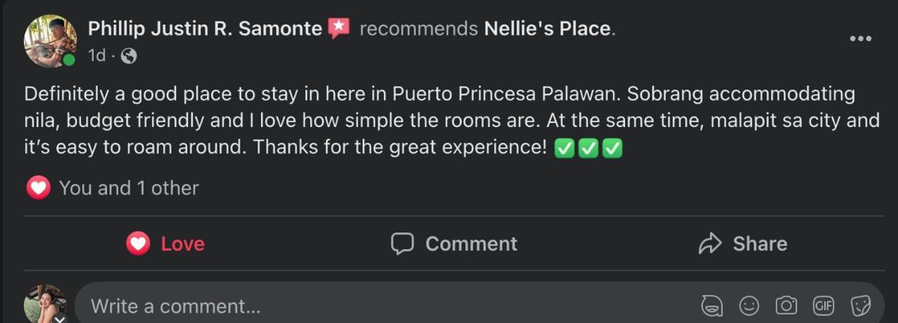 Nellie'S Place Puerto Princesa Eksteriør billede